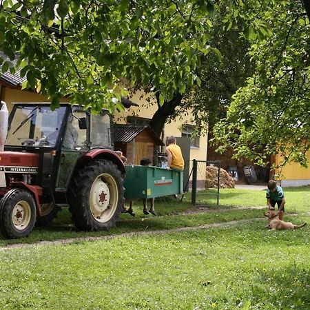 Bauernhof-Pension Puschnikhof Unternarrach 외부 사진