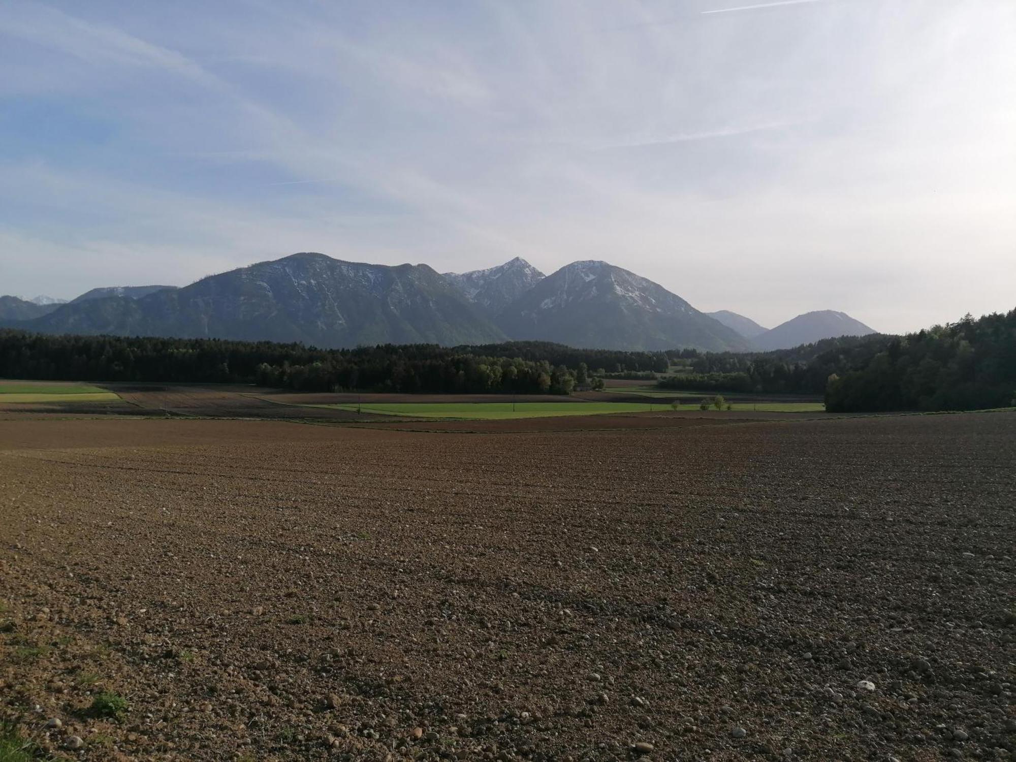 Bauernhof-Pension Puschnikhof Unternarrach 외부 사진